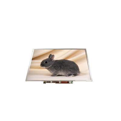 B141PW01 V1 14.1 इंच 1440*900 TFT-LCD स्क्रीन एलसीडी डिस्प्ले
