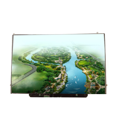 B133EW04 V1 1280*800 13.3 इंच TFT-LCD स्क्रीन डिस्प्ले