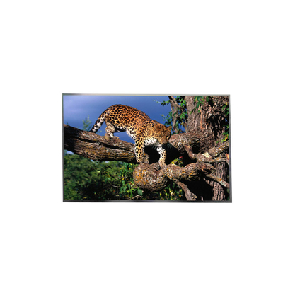 लैपटॉप के लिए LP156WFC-SPD8 15.6 इंच FHD IPS TFT LCD स्क्रीन डिस्प्ले