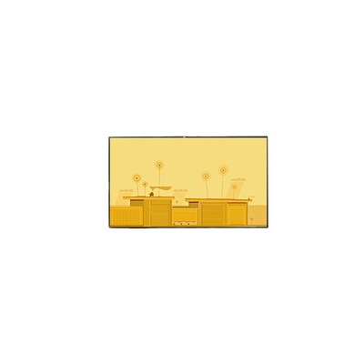 GV050WVM-A81 800*480 5.0 इंच एलसीडी टच स्क्रीन