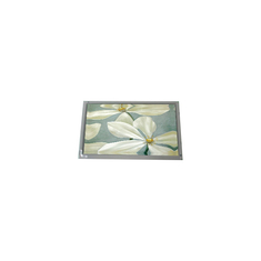 गर्म बिक्री 800*600 AM-800600K3TZQW-56H 10.4 इंच TFT-LCD स्क्रीन पैनल