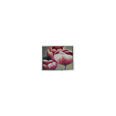 मूल 240*64 DMF5010NF-FW-BE 5.2 इंच 70Hz एलसीडी पैनल