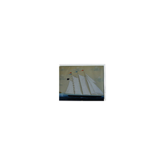 COM65T6M14KLC 6.5 इंच 640*480 45 पिन एलसीडी पैनल स्क्रीन