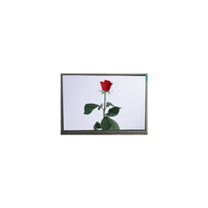 7.0 इंच M070AWAD R0 1280*720 ऑटोमोटिव के लिए टीएफटी एलसीडी स्क्रीन