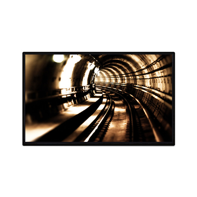 10.1 इंच 4K टीएफटी एलसीडी डिस्प्ले TV101QUB-N00