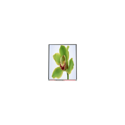 50.0 इंच टीएफटी एलसीडी स्क्रीन 480*854 C050SWYG-3