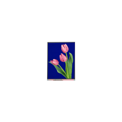 नई 5.4 इंच C054SWZ4-1 540*960 एलसीडी स्क्रीन