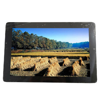 अच्छी कीमत 10.1 इंच 1280*800 149PPI B101EAN01.7 34 पिन एलसीडी स्क्रीन ऑनलाइन