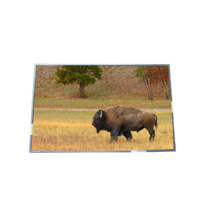 अच्छी कीमत आपूर्ति 17.0 इंच B170PW03 V5 99PPI टीएफटी एलसीडी पैनल ऑनलाइन