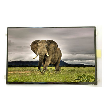 अच्छी कीमत B101UAN01.9 10.1 इंच 16.7M 52%NTSC एलसीडी स्क्रीन डिस्प्ले ऑनलाइन