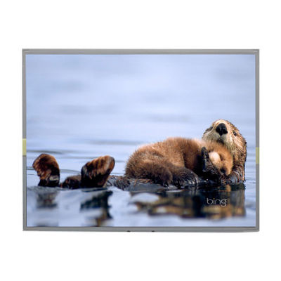 अच्छी कीमत LM2013-TLWEJ1 20.1 इंच 1680*1050 TFT एलसीडी पैनल डिस्प्ले ऑनलाइन