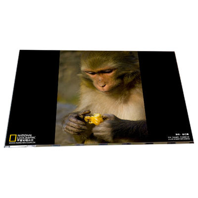 अच्छी कीमत LM238WF6-SSA1 1920*1080 23.8 इंच TFT एलसीडी डिस्प्ले मॉड्यूल पैनल ऑनलाइन