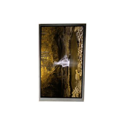 अच्छी कीमत BA050WQ4-100 5.0 इंच 480*272 एलसीडी स्क्रीन पोर्टेबल नेविगेशन के लिए ऑनलाइन