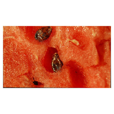 अच्छी कीमत वीडियो अनुप्रयोग के लिए LM315WR6-SSA1 32.0 इंच औद्योगिक 4K एलसीडी स्क्रीन ऑनलाइन