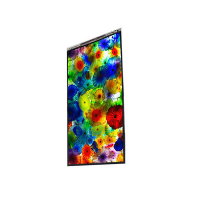 अच्छी कीमत BS060WKE-LB0-6Q00 6.0 इंच एलसीडी डिस्प्ले मोबाइल फोन के लिए एलसीडी स्क्रीन पैनल ऑनलाइन