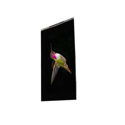 अच्छी कीमत BS062FBE-L30-6Q00 6.3 इंच एलसीडी डिस्प्ले मोबाइल फोन के लिए एलसीडी स्क्रीन पैनल ऑनलाइन