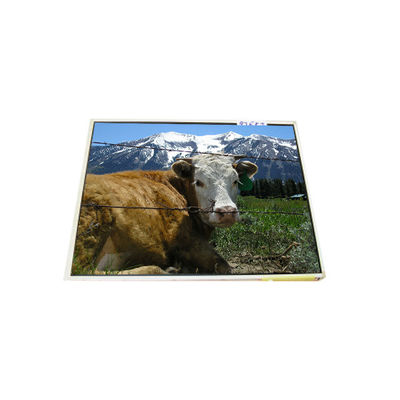 अच्छी कीमत LP121X1-A2M1 12.1 इंच 1024*768 लैपटॉप एलसीडी डिस्प्ले ऑनलाइन