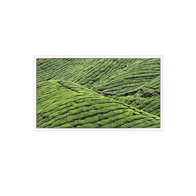 अच्छी कीमत DV320WHD-NT0 32.0 इंच 1366*768 पारदर्शी डिस्प्ले के लिए एलसीडी स्क्रीन ऑनलाइन