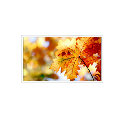 अच्छी कीमत EV238FHM-N12 23.8 इंच 1920*1080 एलसीडी स्क्रीन मॉनिटर ऑनलाइन