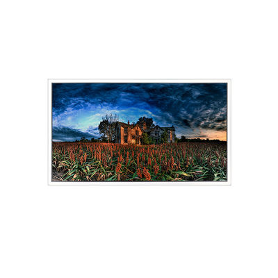 अच्छी कीमत 15.6 इंच GV156QDB-N80 2560*1600 40 पिन एलसीडी स्क्रीन डिस्प्ले ऑनलाइन