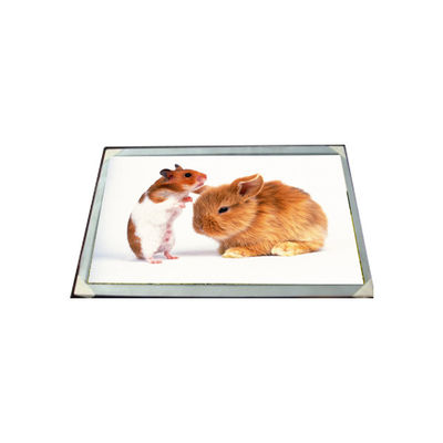 अच्छी कीमत LM170E03-TLG6 17.0 इंच 16.7M एलसीडी पैनल मॉड्यूल ऑनलाइन