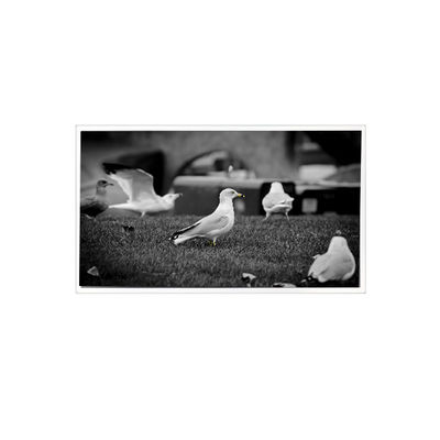 अच्छी कीमत पैड टैबलेट के लिए 1200*1920 QV080WUM-N40 8.0 इंच एलसीडी पैनल डिस्प्ले ऑनलाइन