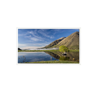 अच्छी कीमत TPA050-001 640*480 5.0 इंच 262K 68%NTSC औद्योगिक के लिए एलसीडी स्क्रीन ऑनलाइन