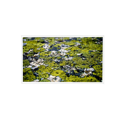 अच्छी कीमत 10.4 इंच RV104X0M-N00 1024*768 औद्योगिक के लिए एलसीडी स्क्रीन ऑनलाइन