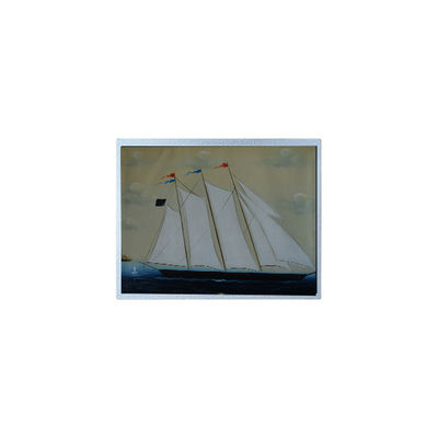 अच्छी कीमत गर्म बिक्री 10.1 इंच AM-1280800J4TZQW-T00 औद्योगिक के लिए टीएफटी एलसीडी स्क्रीन ऑनलाइन