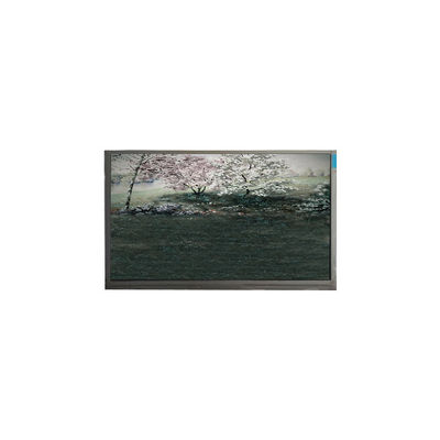 अच्छी कीमत P101GWN9 R0 10.1 इंच 1024*600 262K 500:1 एलसीडी पैनल उच्च गुणवत्ता ऑनलाइन