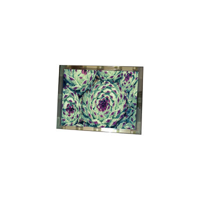 अच्छी कीमत 276*128 EL4836HB-ICE 6.3 इंच 110 cd/m2 एलसीडी स्क्रीन पैनल ऑनलाइन