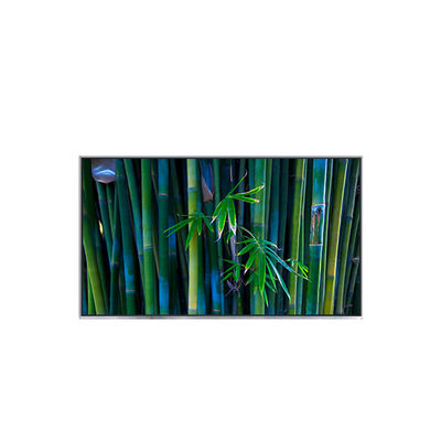 अच्छी कीमत B116XAT01.0 11.6 इंच 1366*768 टीएफटी एलसीडी डिस्प्ले मॉड्यूल ऑनलाइन