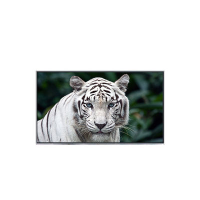 अच्छी कीमत B121EW05 V2 12.1 इंच लैपटॉप के लिए नई आगमन एलसीडी स्क्रीन डिस्प्ले ऑनलाइन