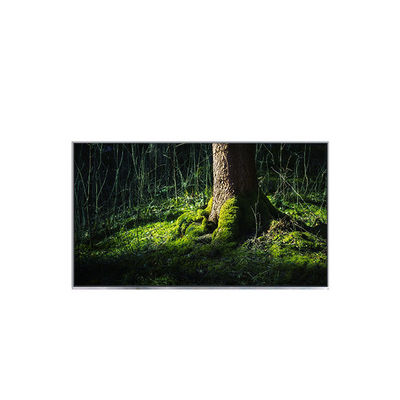 अच्छी कीमत B154EW02 V0 HW1A 15.4 इंच लैपटॉप के लिए एलसीडी डिस्प्ले प्रतिस्थापन ऑनलाइन