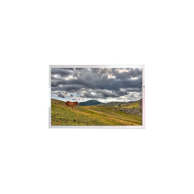 अच्छी कीमत LW270AHQ-ESG3 27.0 इंच 2560*1440 गेमिंग के लिए OLED स्क्रीन डिस्प्ले ऑनलाइन