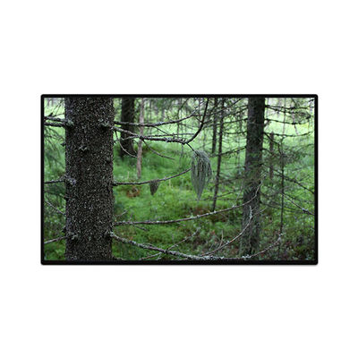 अच्छी कीमत TV101WUB-NW1-D9P0 10.1 इंच 1200*1920 एलसीडी पैनल डिस्प्ले ऑनलाइन