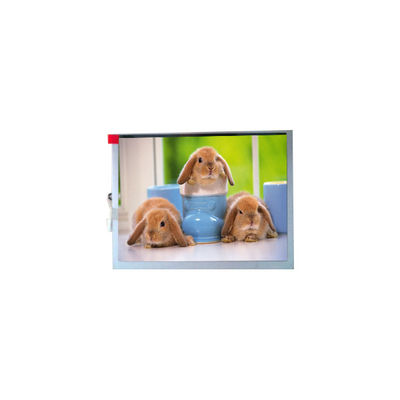 अच्छी कीमत नया TM070SDH03 800*600 7.0 इंच TFT-LCD स्क्रीन पैनल ऑनलाइन