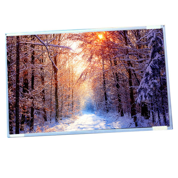 AUO डिस्प्ले G220SW01 V0 22.0 इंच IPS LCD चौड़ी स्क्रीन रिज़ॉल्यूशन 1680 (RGB) × 1050 के साथ