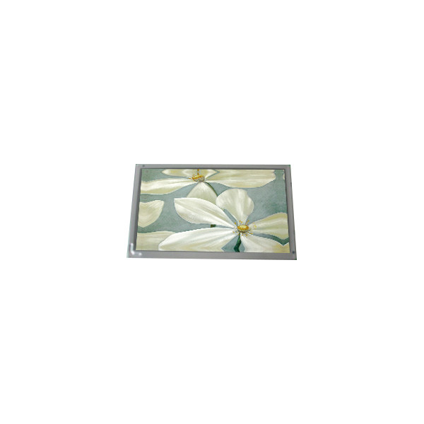 गर्म बिक्री 800*600 AM-800600K3TZQW-56H 10.4 इंच TFT-LCD स्क्रीन पैनल