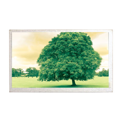 अच्छी कीमत नई मूल कार GPS नेविगेशन 8.0 इंच TFT Hannstar HSD080IDW1-C01 LCD डिस्प्ले स्क्रीन पैनल ऑनलाइन