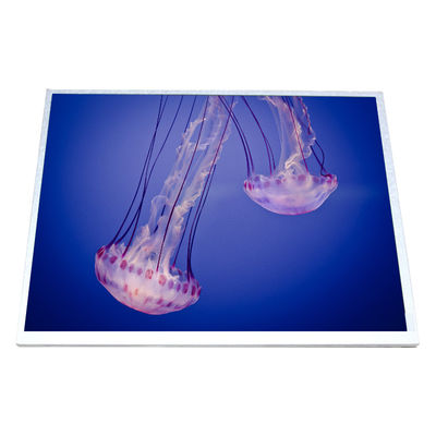 अच्छी कीमत HSD100IXN1-A10 एलसीडी स्क्रीन 10.0 इंच एलसीडी पैनल ऑनलाइन