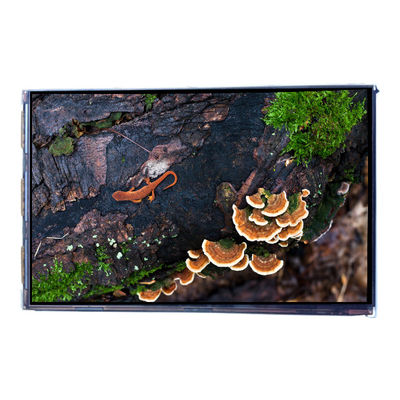 अच्छी कीमत VVX07H005A00 7.0 इंच 450 cd/m2 एलसीडी स्क्रीन डिस्प्ले पैनल ऑनलाइन