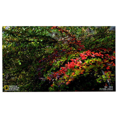 अच्छी कीमत एचपी पवेलियन 24-डीएफ0014 के लिए नई एलसीडी स्क्रीन ऑनलाइन