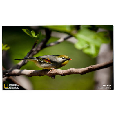 अच्छी कीमत LM238WF5-SSF1 23.8 इंच FHD IPS टच स्क्रीन ऑनलाइन