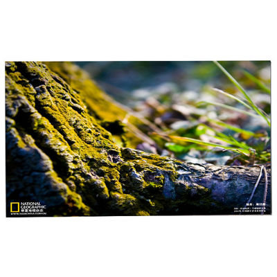 अच्छी कीमत LM238WF5-SSG4 23.8 एलसीडी टच स्क्रीन डिस्प्ले ऑनलाइन