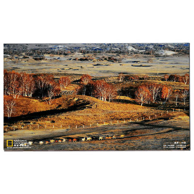 अच्छी कीमत LM238WF5-SSH1 लेनोवो के लिए नया टच डिस्प्ले ऑनलाइन