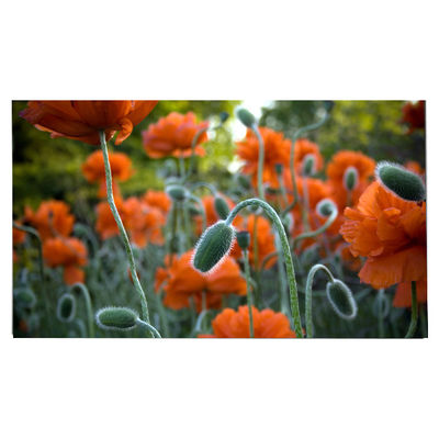 अच्छी कीमत LM270WR8-SSC1 27.0 इंच एलसीडी पैनल 3840*2160 एलसीडी डिस्प्ले ऑनलाइन