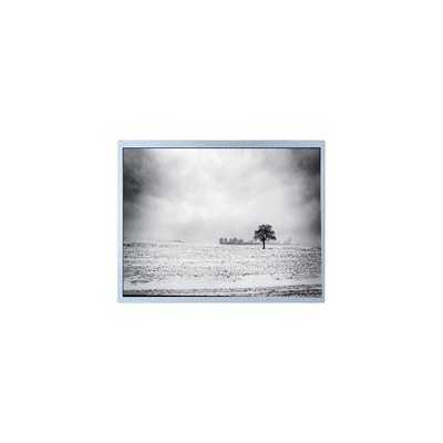 अच्छी कीमत नई PW080XU4 480*220 8.0 इंच 60Hz 30 पिन एलसीडी स्क्रीन पैनल ऑनलाइन