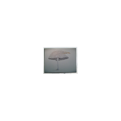 अच्छी कीमत 9.4 इंच DMF-51043NFU-FW 640*480 एलसीडी स्क्रीन पैनल ऑनलाइन