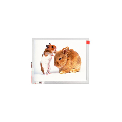 अच्छी कीमत 10.1 इंच TM101JVHG44-00 LVDS TFT-LCD पैनल स्क्रीन lcd डिस्प्ले ऑनलाइन